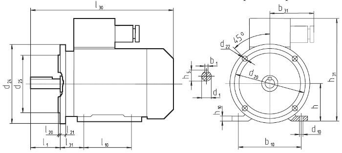 AIML-2081-size-site